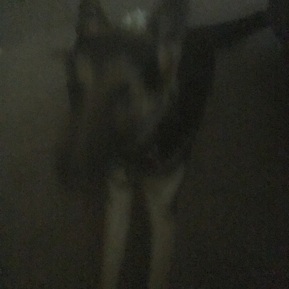 Meet your Posher, Jeremy - Picture 1 of 1